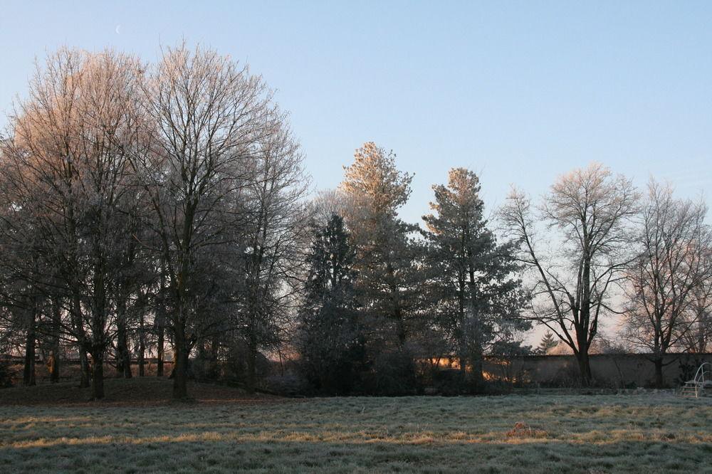 Manoir De La Manantie - Teritoria Bed & Breakfast Lezoux Exterior photo